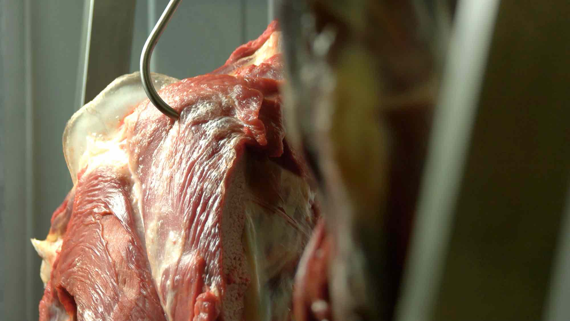 Hanging beef quarters in cold room